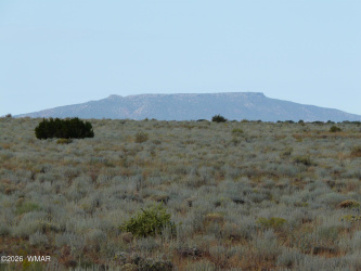 500 Chevelon Canyon Drive, Heber, Arizona 85928, ,Land,For Sale,Chevelon Canyon,259513
