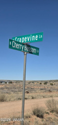 TBD Cherry Blossom, Snowflake, Arizona 85937, ,Land,For Sale,Cherry Blossom,260203
