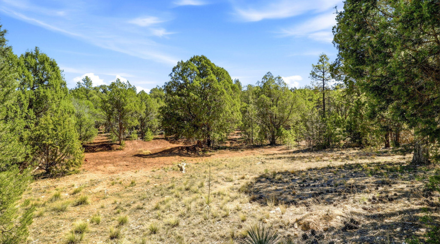 Home on 5 acres of land