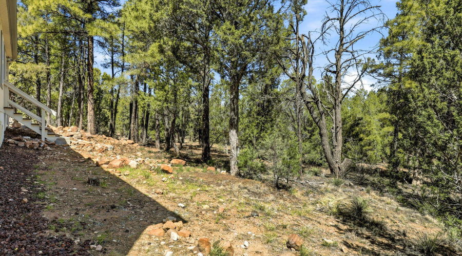 Acres of Trees