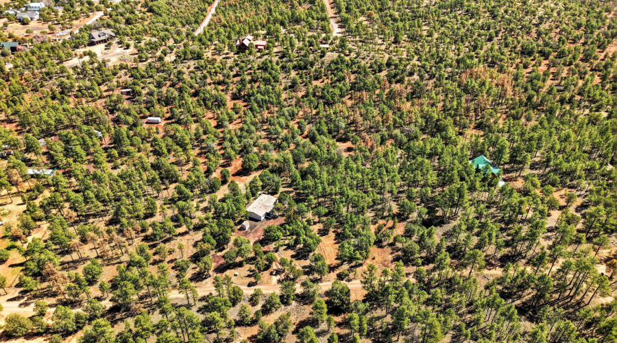 Aerial View of Neighbors