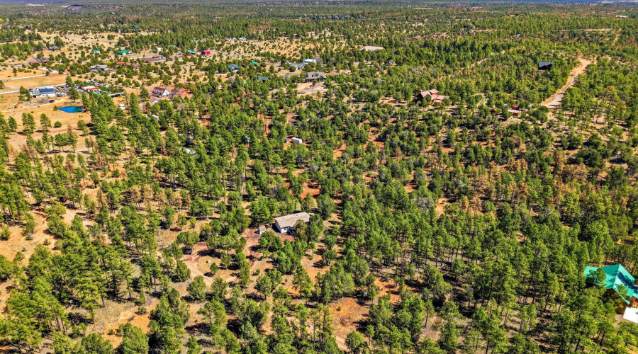 Aerial View of Community