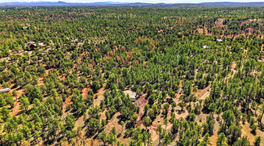 Aerial View of Community