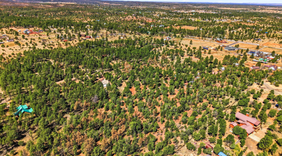 Aerial View of Community