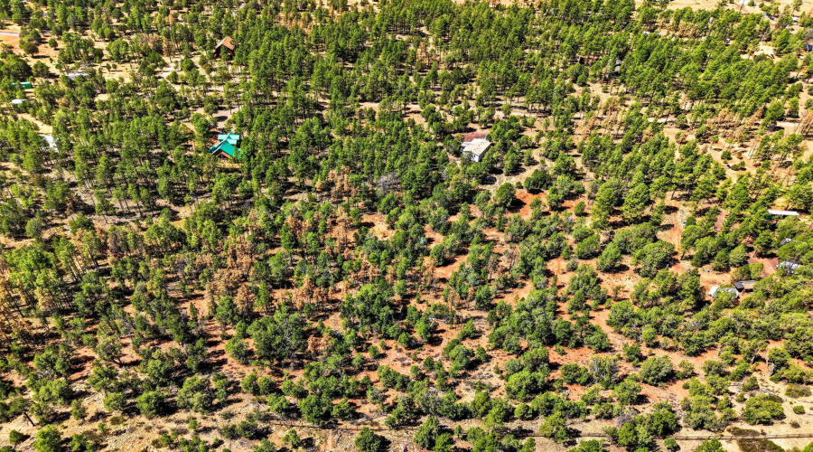 Aerial View of Neighbors