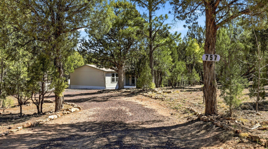 Driveway