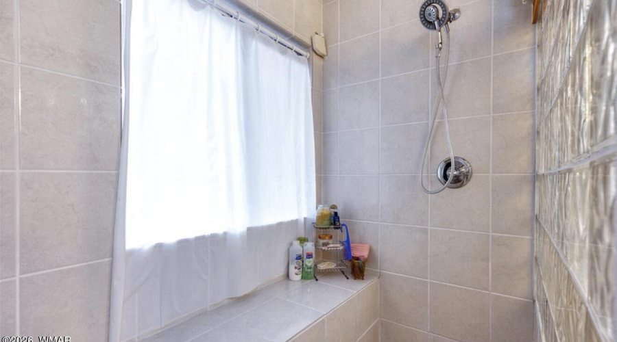 Primary Shower