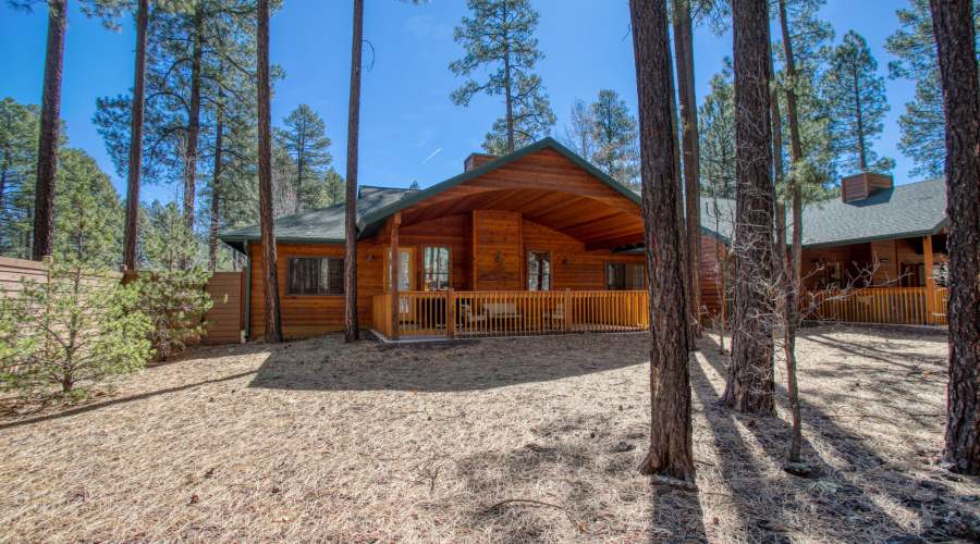 PaxmanPh_IMG_2962