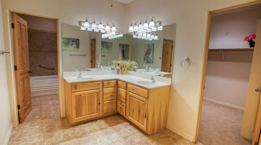 Primary Vanity