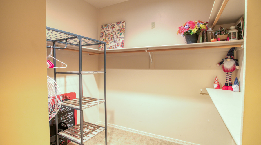 Primary Closet