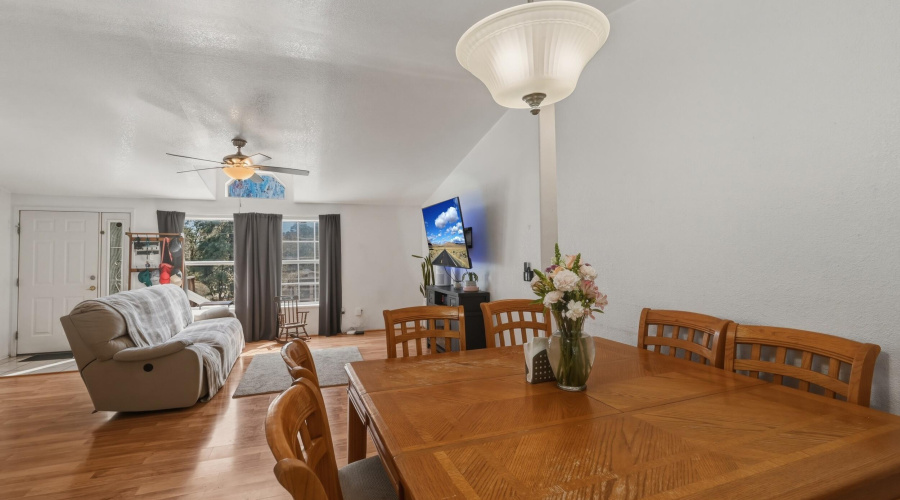 dining / living