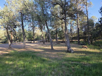 608 Ponderosa Street, Payson, Arizona 85541, ,Land,For Sale,Ponderosa,93692