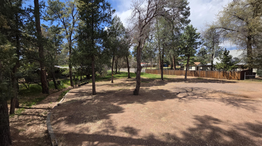 Drainage on Lot