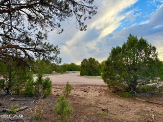 1821 & 1825 Shumway Street, Show Low, Arizona 85901, ,Land,For Sale,1825 Shumway,258674