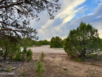 1821 Shumway Street, Show Low, Arizona 85901, ,Land,For Sale,Shumway,258672