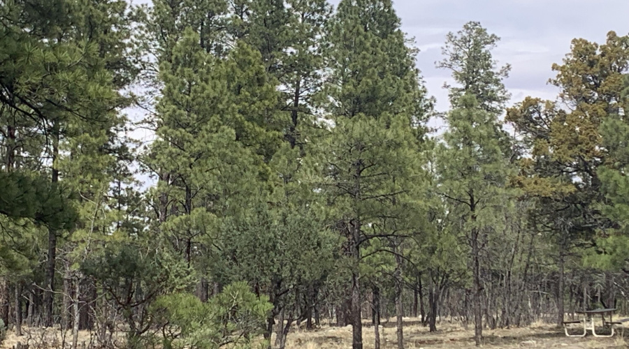 Open Area to Build