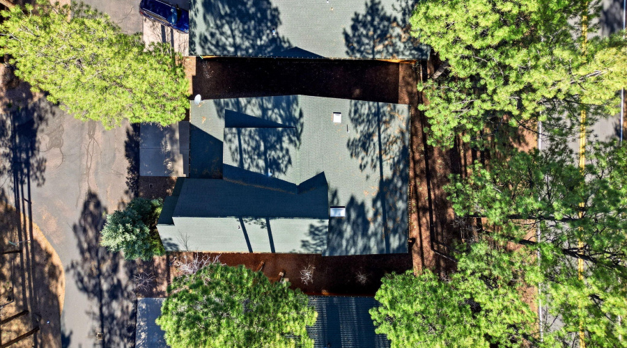 Drone Roof