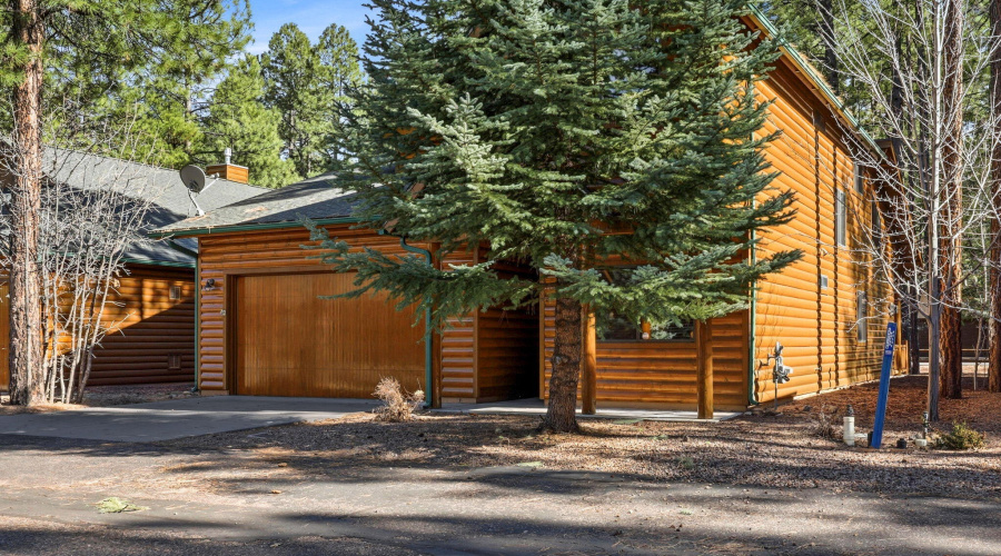 Front Trees
