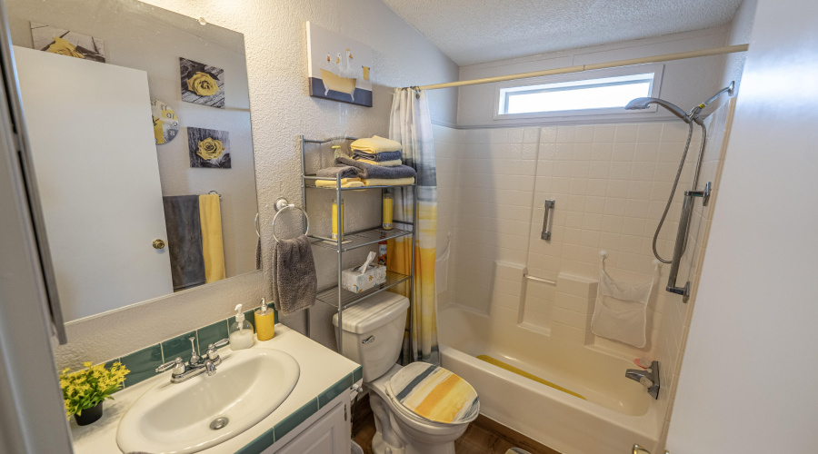 29-DSC09524