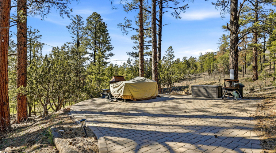 2371FlorianMeadowTrl-HeberOvergaard-AZ-2