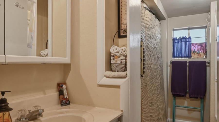 Basement Bathroom and Closet