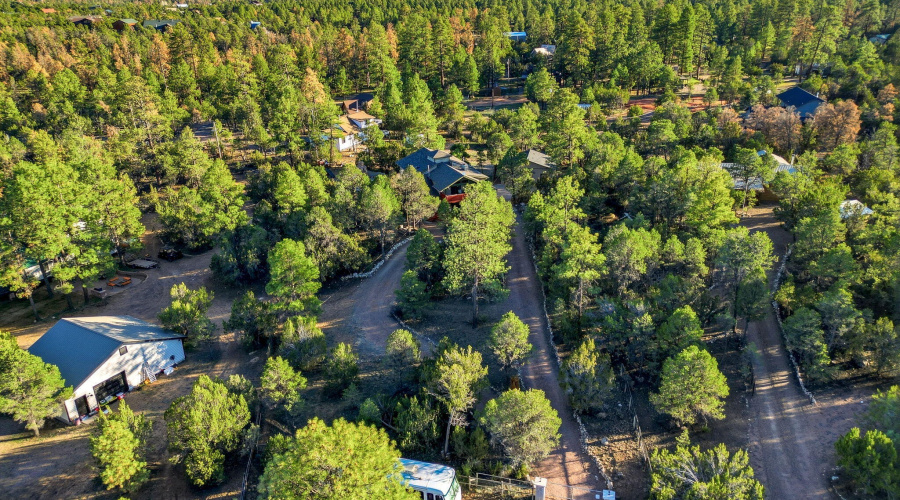 3161TrailsEnd-Heber-AZ-41