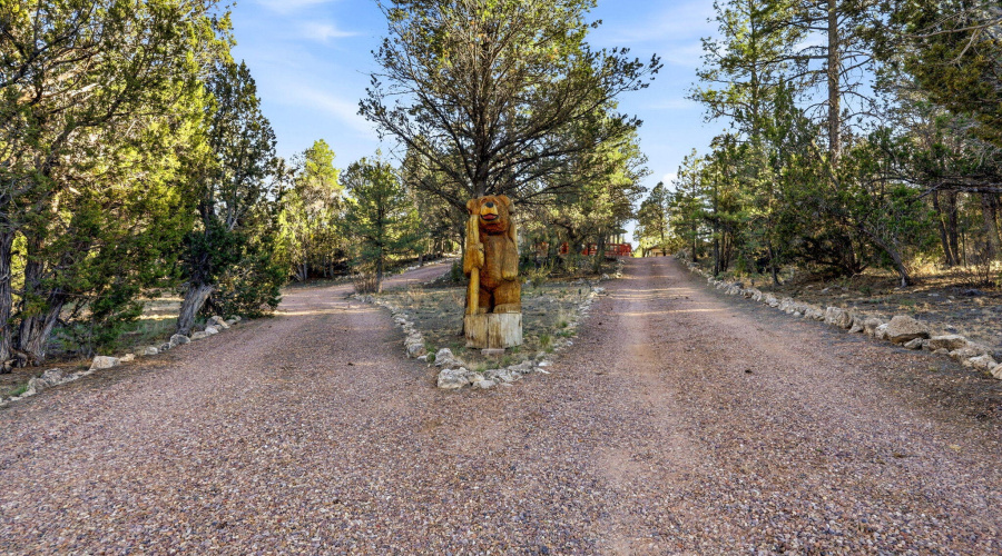 3161TrailsEnd-Heber-AZ-3