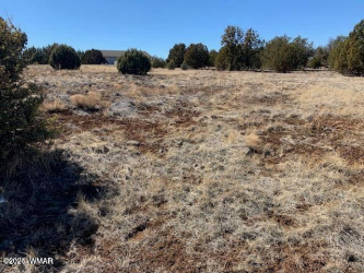 8580 Silver Creek Drive, Show Low, Arizona 85901, ,Land,For Sale,Silver Creek,260240