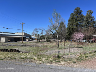 1448 Adair Drive, Pinetop, Arizona 85935, ,Commercial,For Sale,Adair,260255