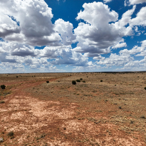 Land