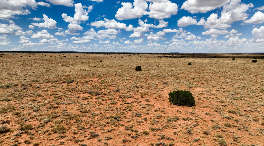 2 ground-facing-west