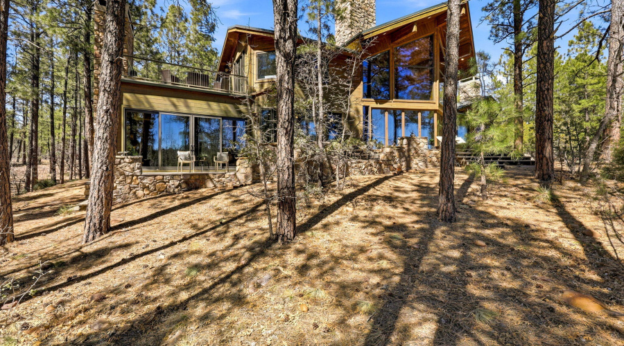 961SGinnalaLn-ShowLow-AZ-57