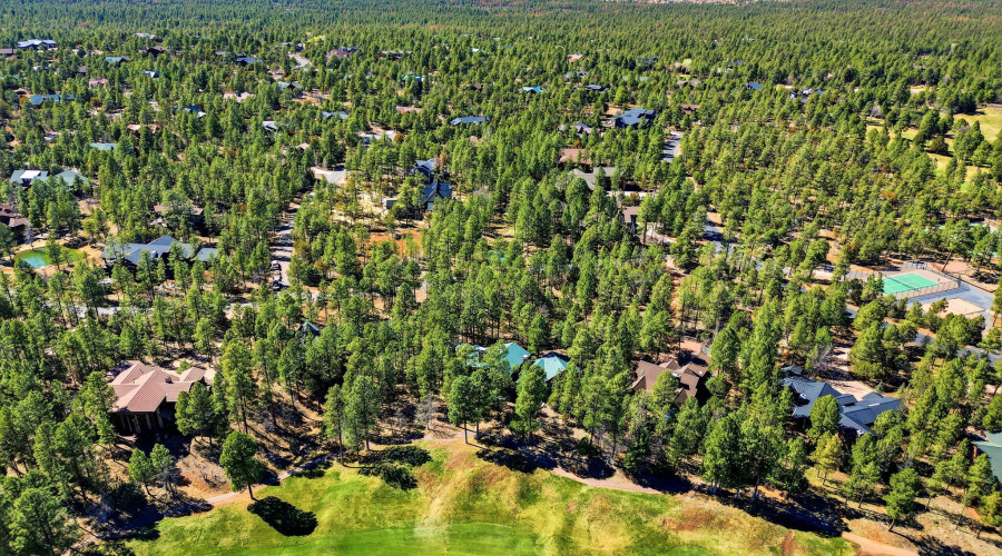 961SGinnalaLn-ShowLow-AZ-62