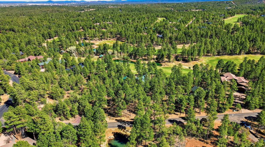 961SGinnalaLn-ShowLow-AZ-59