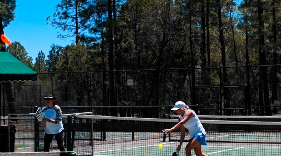 pickleball 1