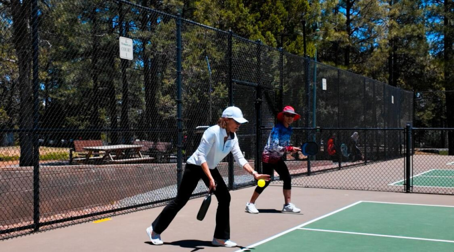 Pickleball 2