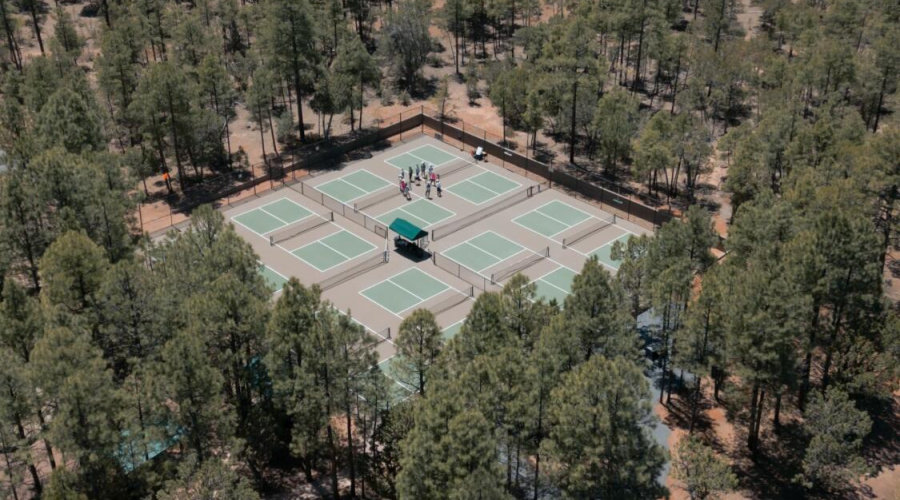 Pickleball 4