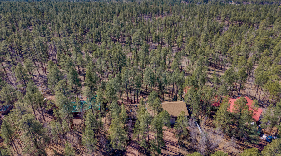 Drone Area