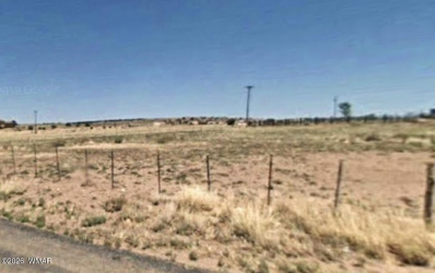 TBD County Road 6012 (4 Parcels), St. Johns, Arizona 85936, ,Land,For Sale,County Road 6012 (4 Parcels),260293