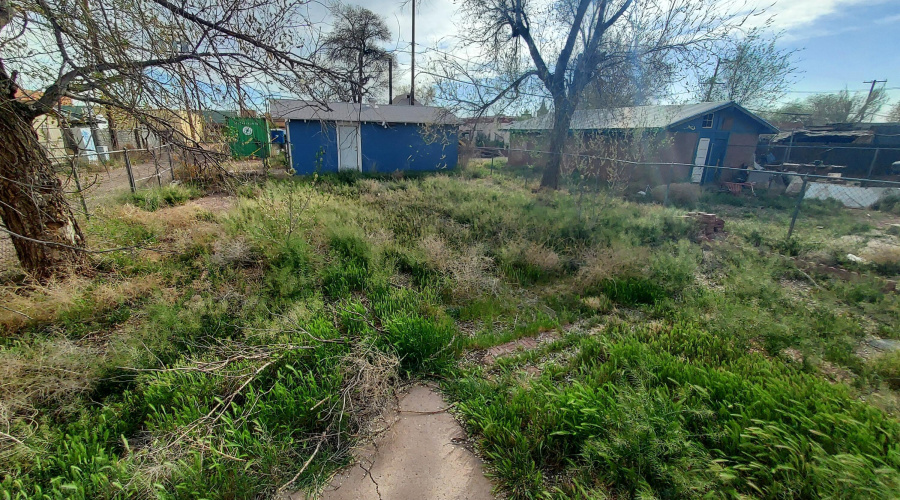 Back yard and garage
