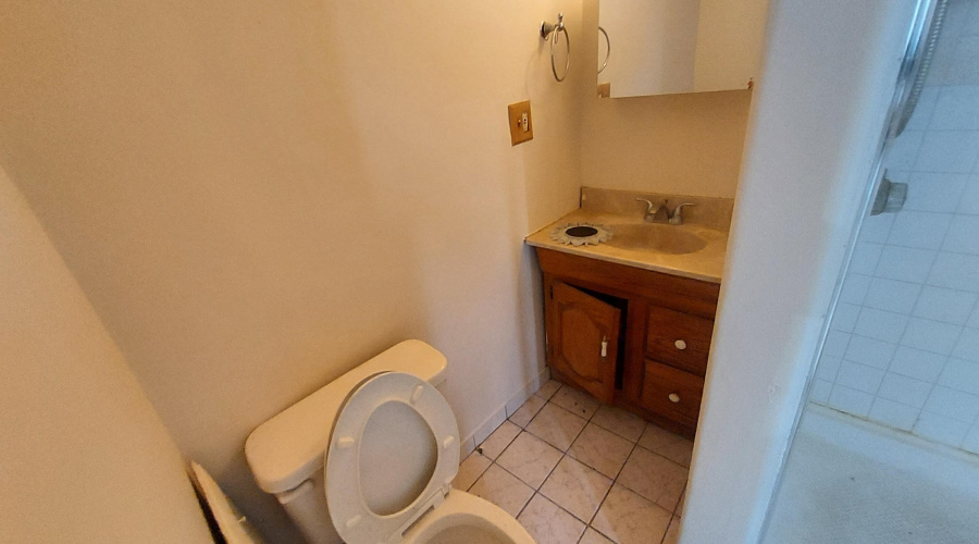 Primary bath toilet and sink