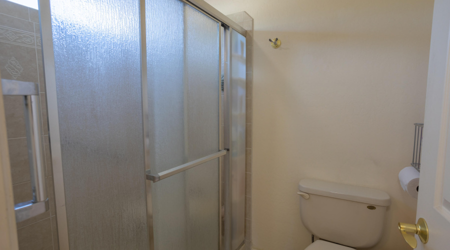 Primary Shower