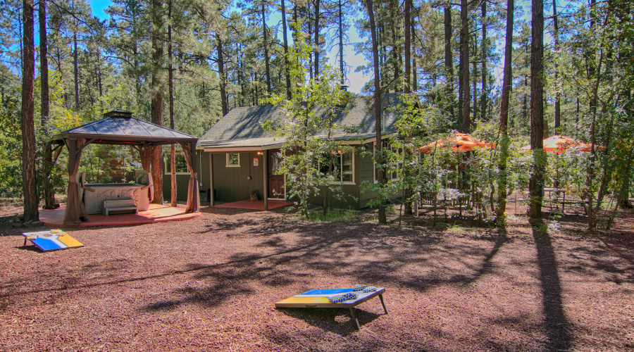 Spacious back yard