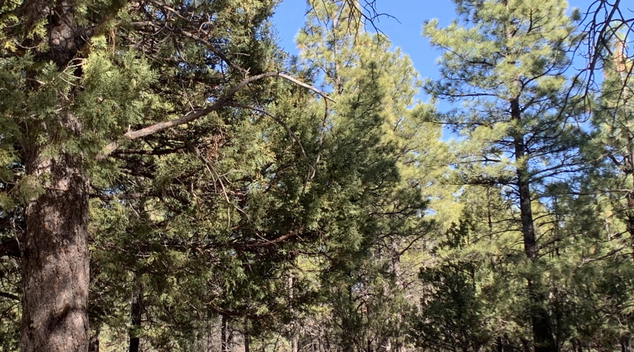 In the mountains