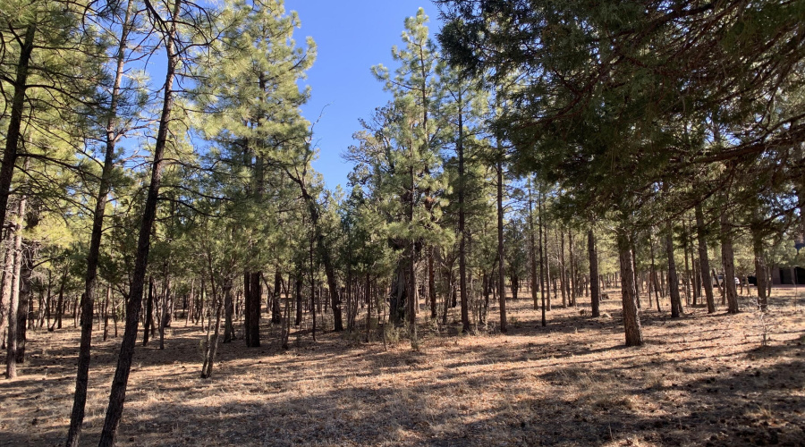 Open area to build