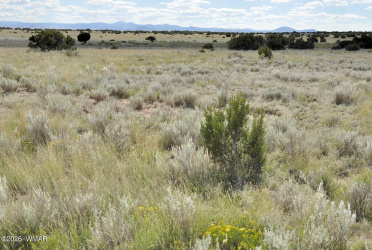 76 acres CR 6451, St. Johns, Arizona 85936, ,Land,For Sale,CR 6451,260307
