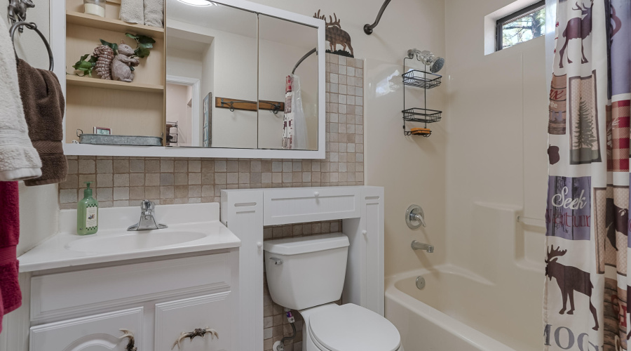 Primary Bathroom 1