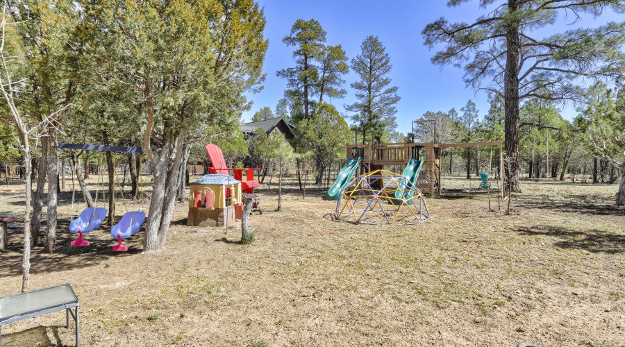 Front Yard 3