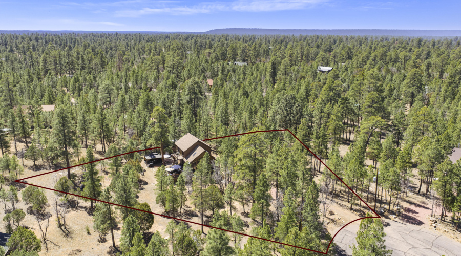 Aerial Overview 1