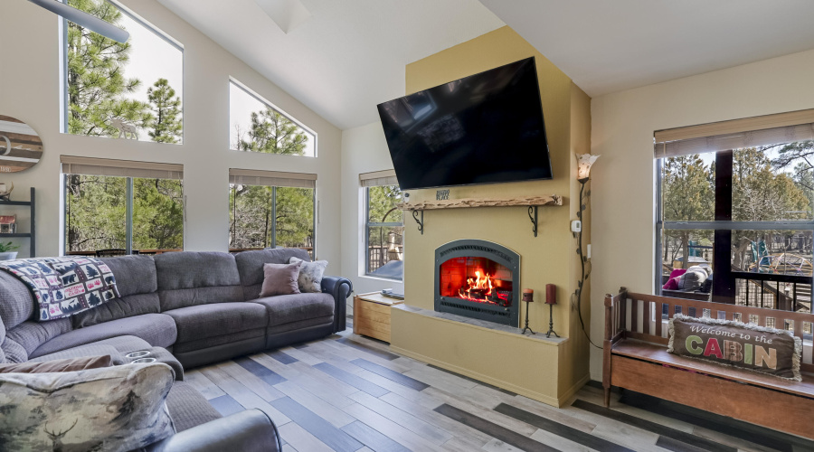 Living Room 1